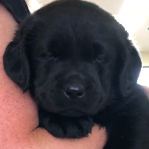 Meet your Posher, Janel